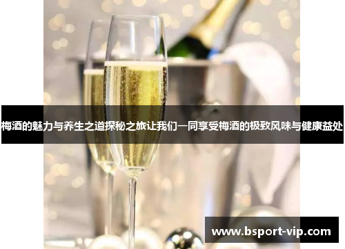 梅酒的魅力与养生之道探秘之旅让我们一同享受梅酒的极致风味与健康益处