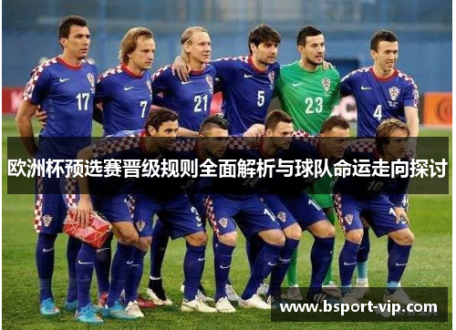 欧洲杯预选赛晋级规则全面解析与球队命运走向探讨