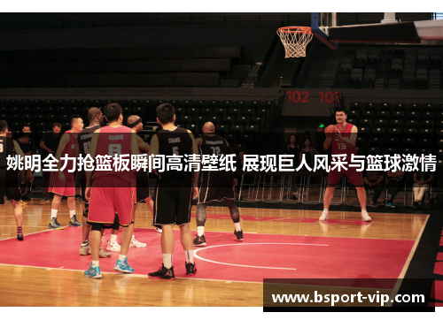 姚明全力抢篮板瞬间高清壁纸 展现巨人风采与篮球激情