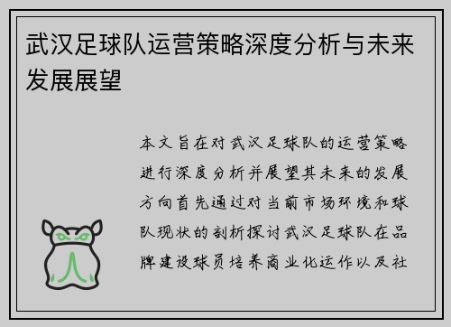 武汉足球队运营策略深度分析与未来发展展望